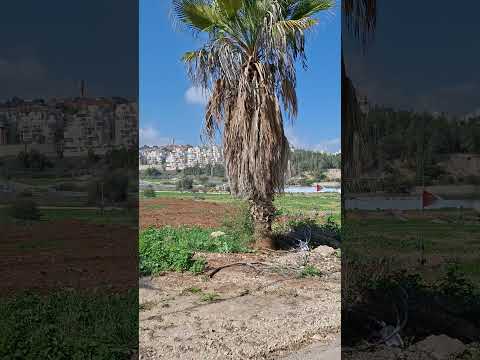 Entrance Of Moshav Mehsaya In Beit Shemesh