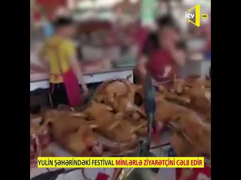 Video: Yulin İt Əti Yemə Festivalı