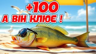 картинка: 🌞 ЧИ КЛЮЄ ОКУНЬ ЛІТОМ В СПЕКУ?  🌞