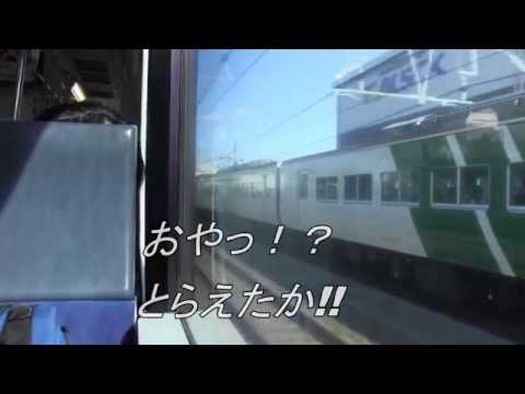 【 ただ今、併走中っ!! 】　爆音の185系「踊り子」とデッドヒート 東海道線ｖｓ横須賀線 （戸塚-横浜）