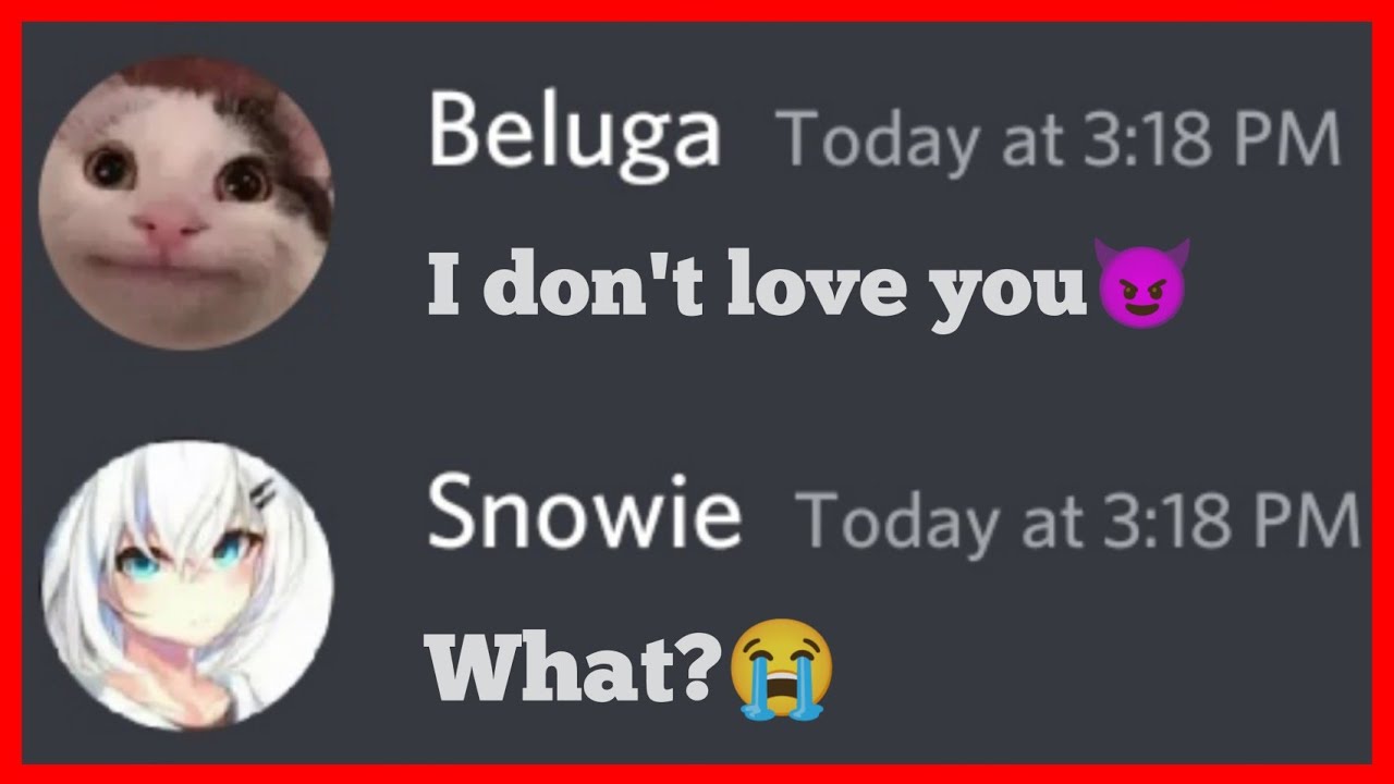 Snowie and Pepper love Beluga YouTube