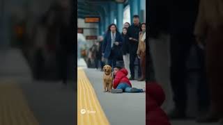 🐶It was supposed to be a dog rescue operation, but NG's footage turned it into a comedy? #funny