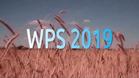 How to install WPS Office 2019 on Ubuntu 19.04