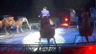 Ringling Bros. and Barnum and Bailey Presents: Alexander Lacey and His Big Cats 2012