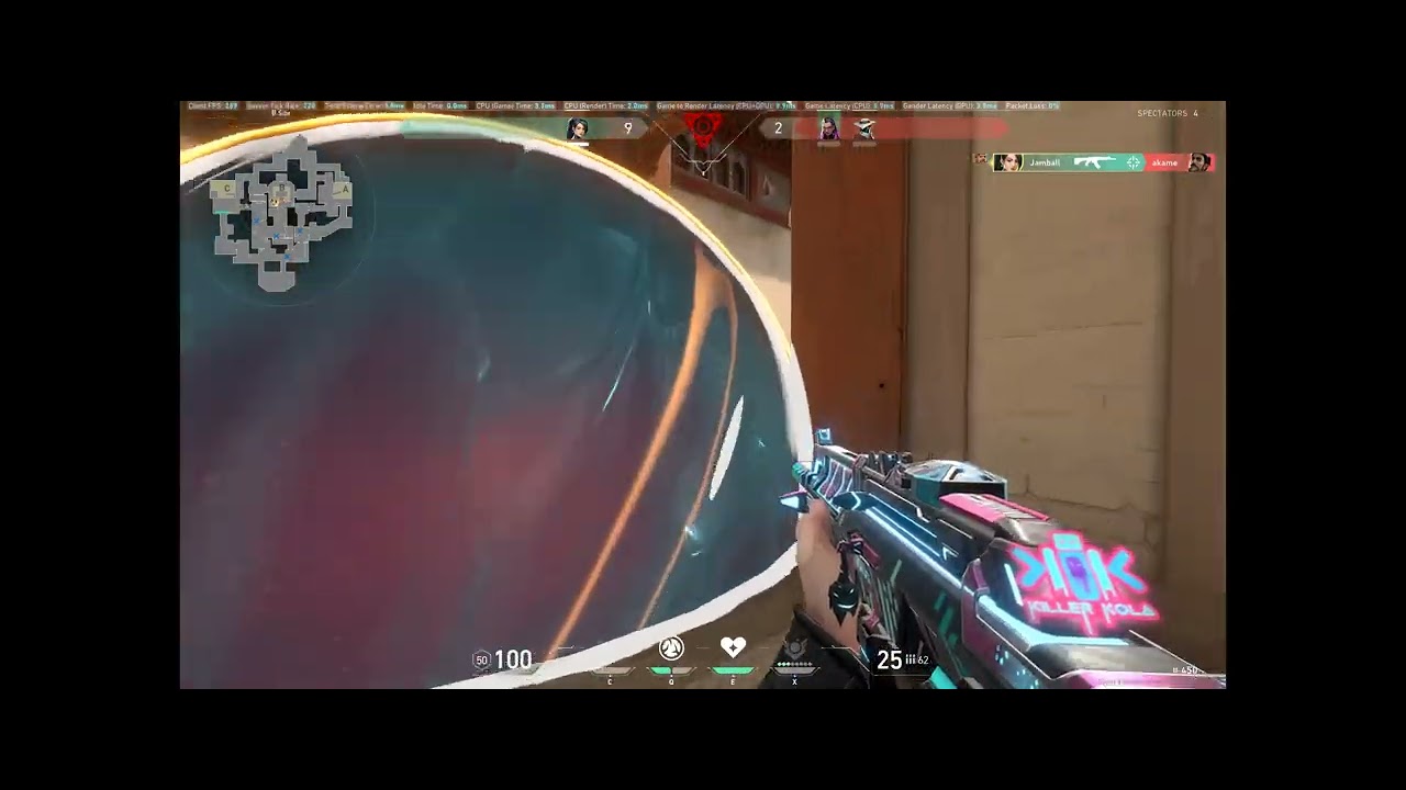 VALORANT - Sage (4K)