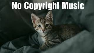 Dyalla - Cats And Gats ( Rock - No Copyright Music )