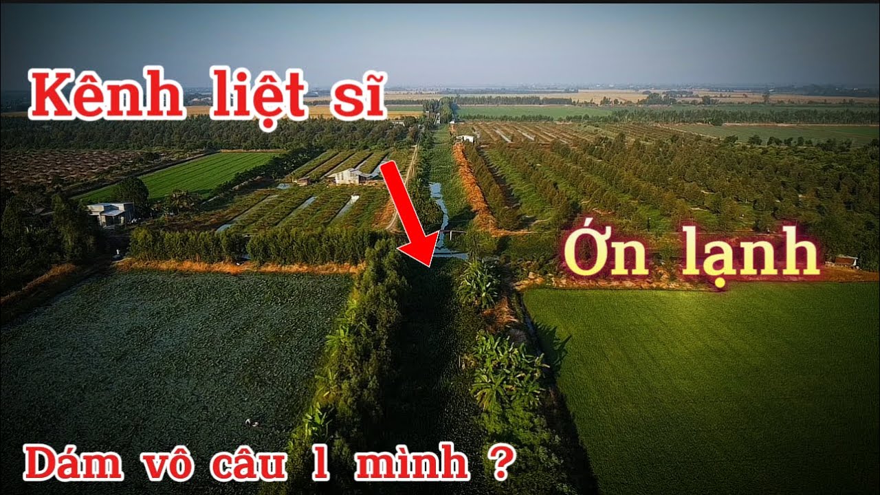 Ớn lạnh lưng khi câu 1 mình ở con kênh này.không bao giờ tôi dám câu đêm dù biết có trê vàng khủng.