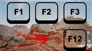 How To Enable F1 F2 .....F12 as Standard Function Keys On Mac Keyboard | Enable Fn Key