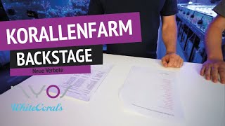 Neue Korallen Verbote ? Was ist noch erlaubt ?