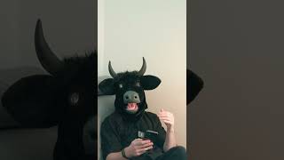 Про дорожные ситуации #shorts