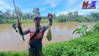 Mancing ikan baung sungai jelai pahang | umpan usus ayam #wms-312