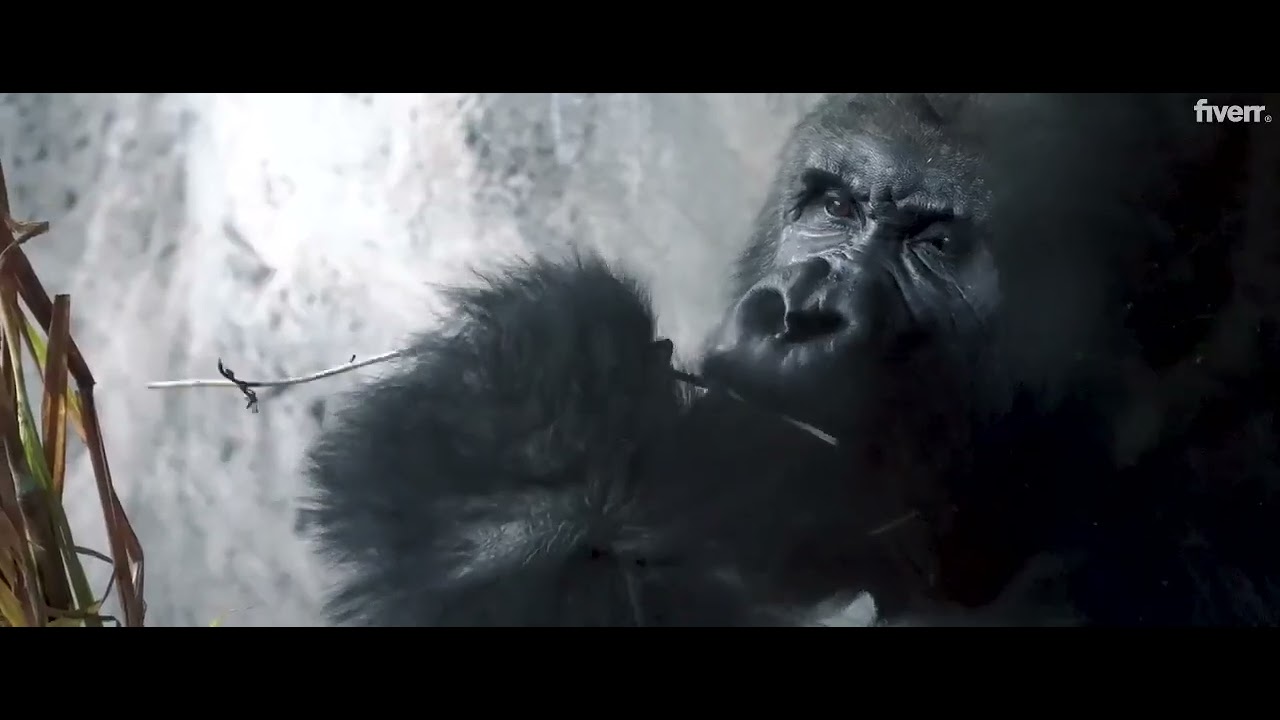 Sample 3: Cinematic Music Video – Unleashing Creativity with Dropdigi