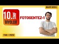 Fotosentez-1 | 1. Ünite Enerji | 10. Sınıf Biyoloji | Maarif Modeli | 1. TEMA | 2. Ders