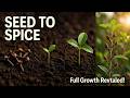 How to Grow Cloves at Home (Step-by-Step Gardening Tips for Fast Growth)