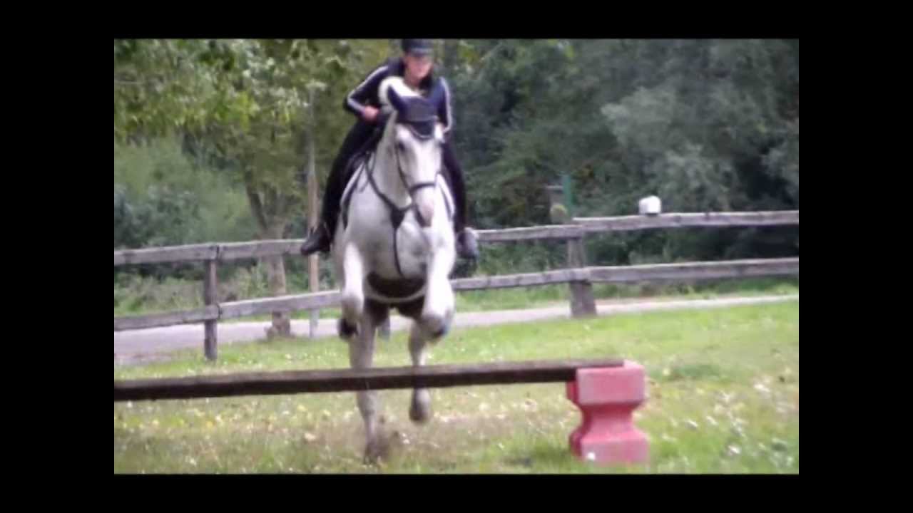 Reiterpass - Training :) - YouTube