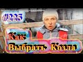 Как выбрать козла производителя, а не мясо козлятины.