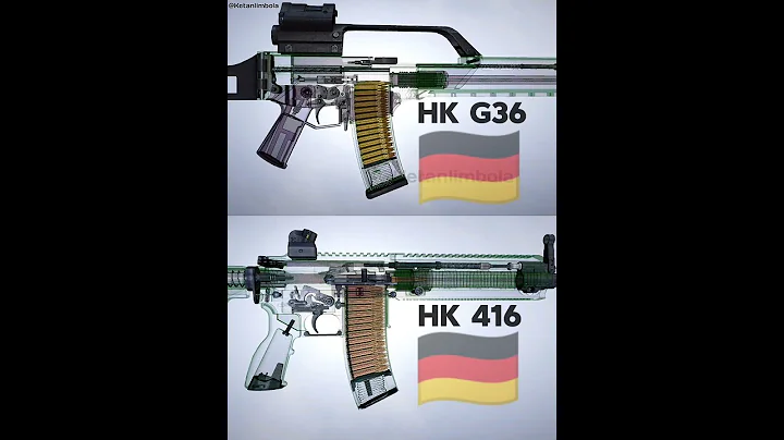 HK G36 x HK 416