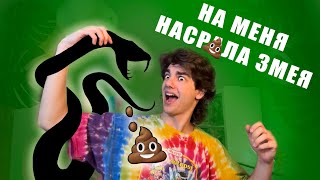 У МЕНЯ ПОЯВИЛАСЬ ЗМЕЯ🐍😱МАКАР КАРЕЛИН