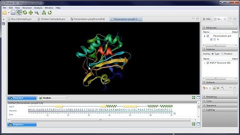 DNASTAR - NovaFold Structure Prediction Software