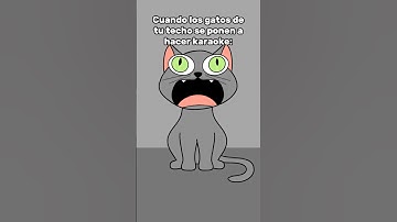 Los gatos por la noche 😹