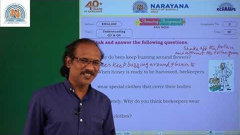 26TH SEP TS CLASS IV ENGLISH AMAZING ASSIGNMENT KEY