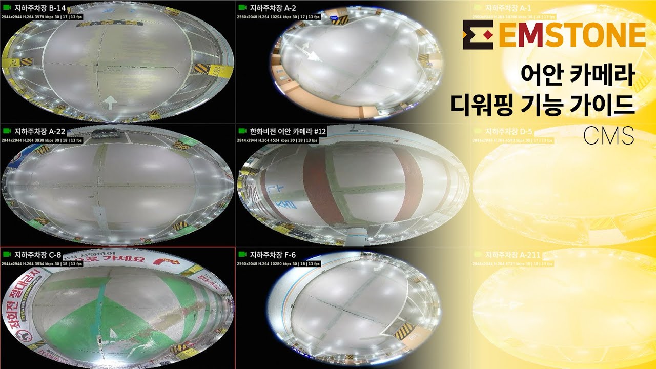 [기능소개] EMSTONE CMS 어안 카메라 디워핑(de-warping) 기능 설명