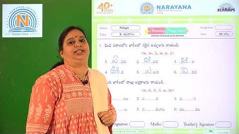 12TH OCT TS CLASS III FL TELUGU AMAZING ASSIGNMENT KEY