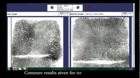 Automated Fingerprint Identification System - AFIS