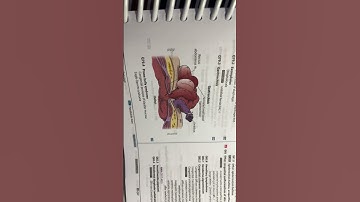 Gastroschitis. Coding videos: Hoang Nguyen or MedicalcodingbyJen