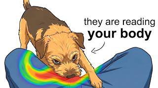 Why Your Dog Sniffs You Down There? (Science Explained)
