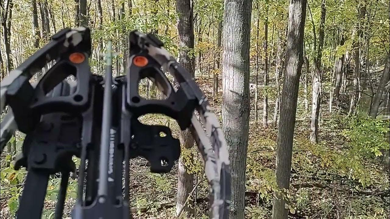 White tail deer season Michigan YouTube