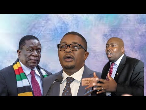 MZEMBI PERSECUTION PERSISTS DENIED BAIL AGAIN BY ED COURTS 