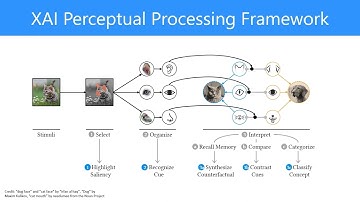CHI 2022 Towards Relatable Explainable AI with the Perceptual Process (RexNet) - Preview