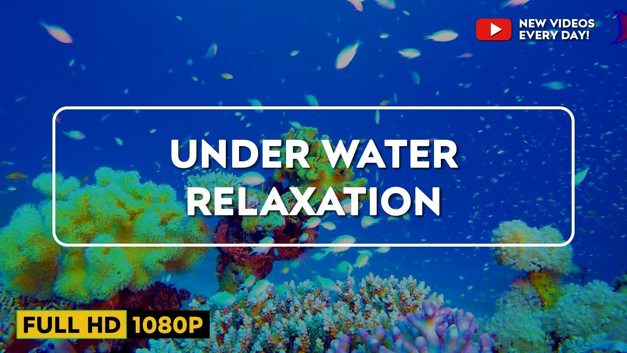 Underwater Ambience, Deep Relaxing Music, Sleeping Music, Meditation