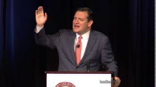 Famous never surrender Wealth