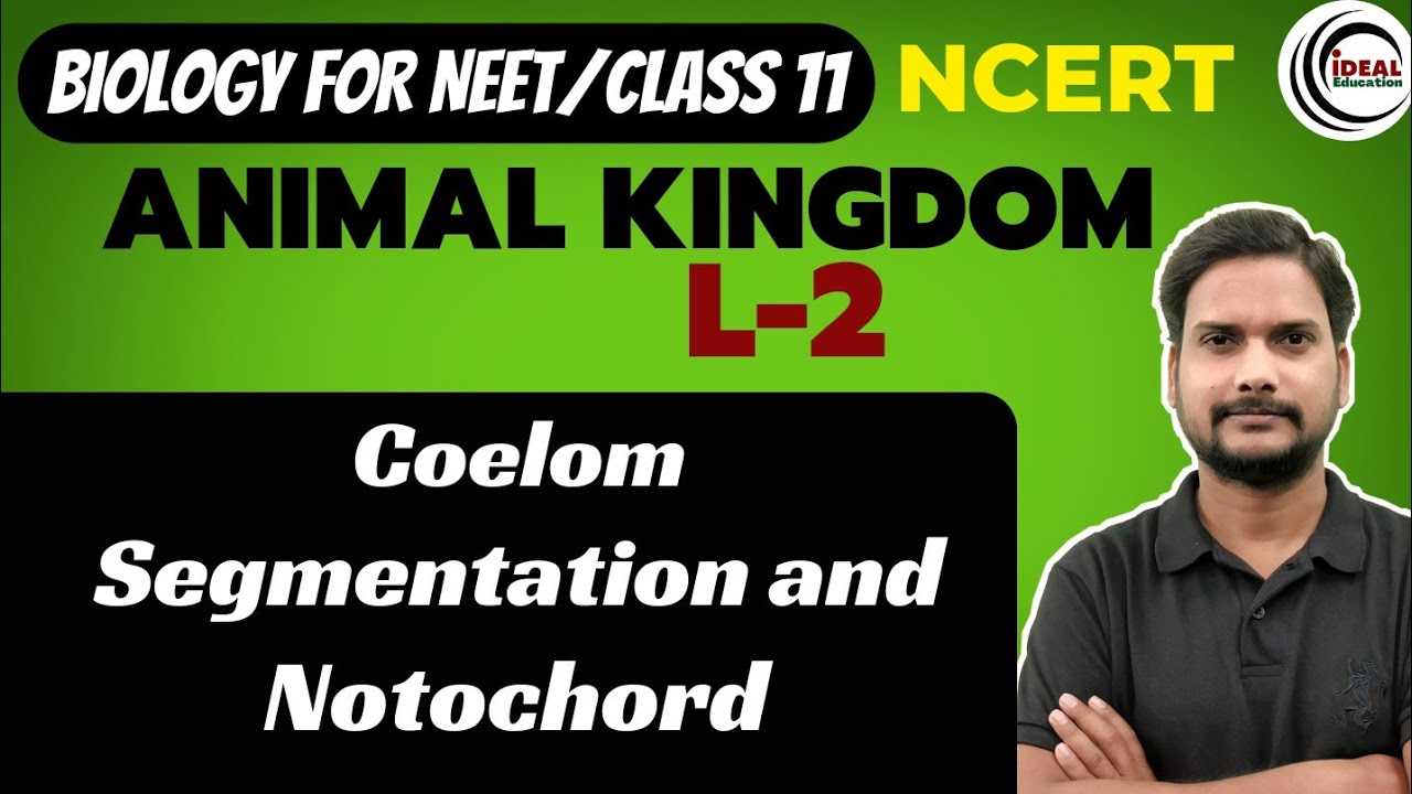 CLASS 11 || ANIMAL KINGDOM || Lec-2 || Coelom, Segmentation, Notochord  NEET   