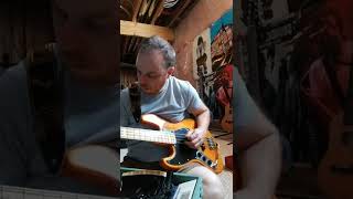 Red Hot Chili Peppers - Dark Neccesities bass part 2