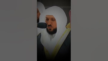 الأية ( ٧٧-٨٠ ) سورة مريم | الشيخ ماهر المعيقلي #القرآن_الكريم