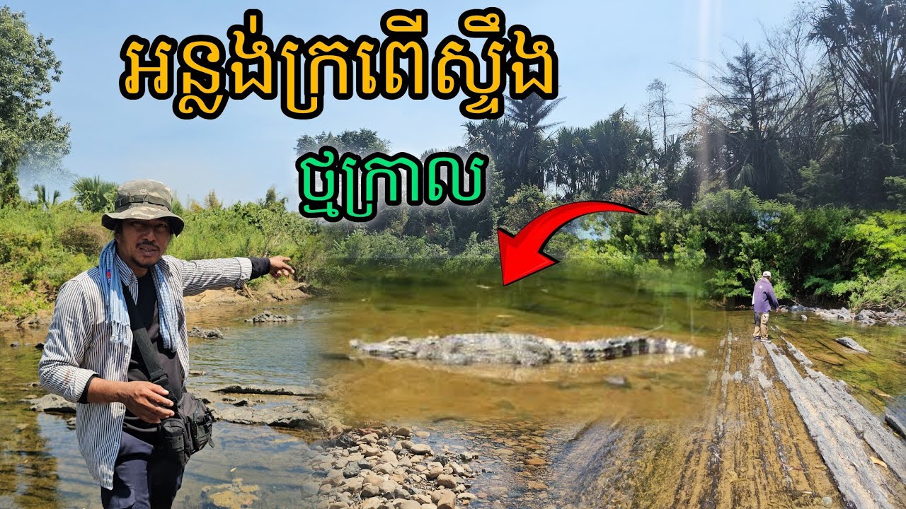 អន្លង់ក្រពើស្ទឹងថ្មក្រាល