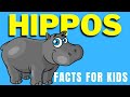 Hippos: The River Horses Quiz