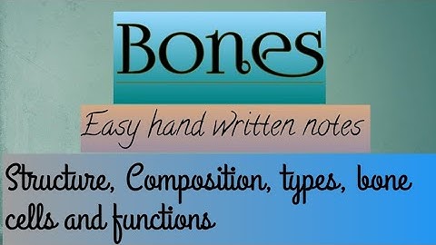 Bone | Structure, Composition, Types of bone cells and functions of bone | Learn with Aroosa waheed