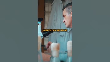 The Liquid Tree Nature