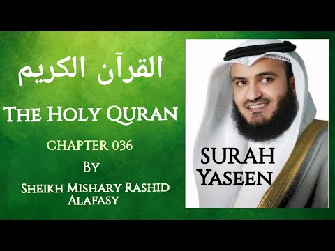 surah-yaseen-by-mishary-rashid-alafasy
