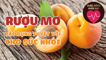 TÁC DỤNG TUYỆT VỜI CỦA RƯỢU MƠ NGÂM