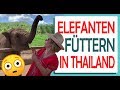 Chiang Mai Abenteuer Quiz
