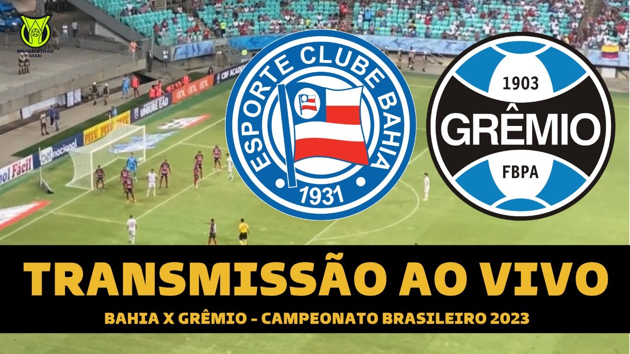 Bahia x Grêmio ao vivo e online, onde assistir, que horas é, escalação e  mais do Brasileirão