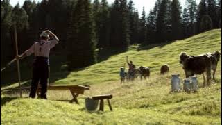 Loacker | Discover the new Loacker Chocolate Bar! 15''