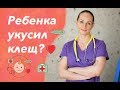 Что делать, если ребенка укусил клещ? Советы врача.