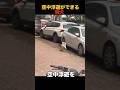 空中浮遊ができる柴犬 #shorts #animals #funny #動物 #柴犬 #犬 #可愛い #癒し