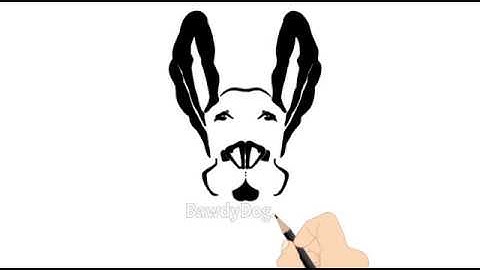 2D Animation Introduction Video